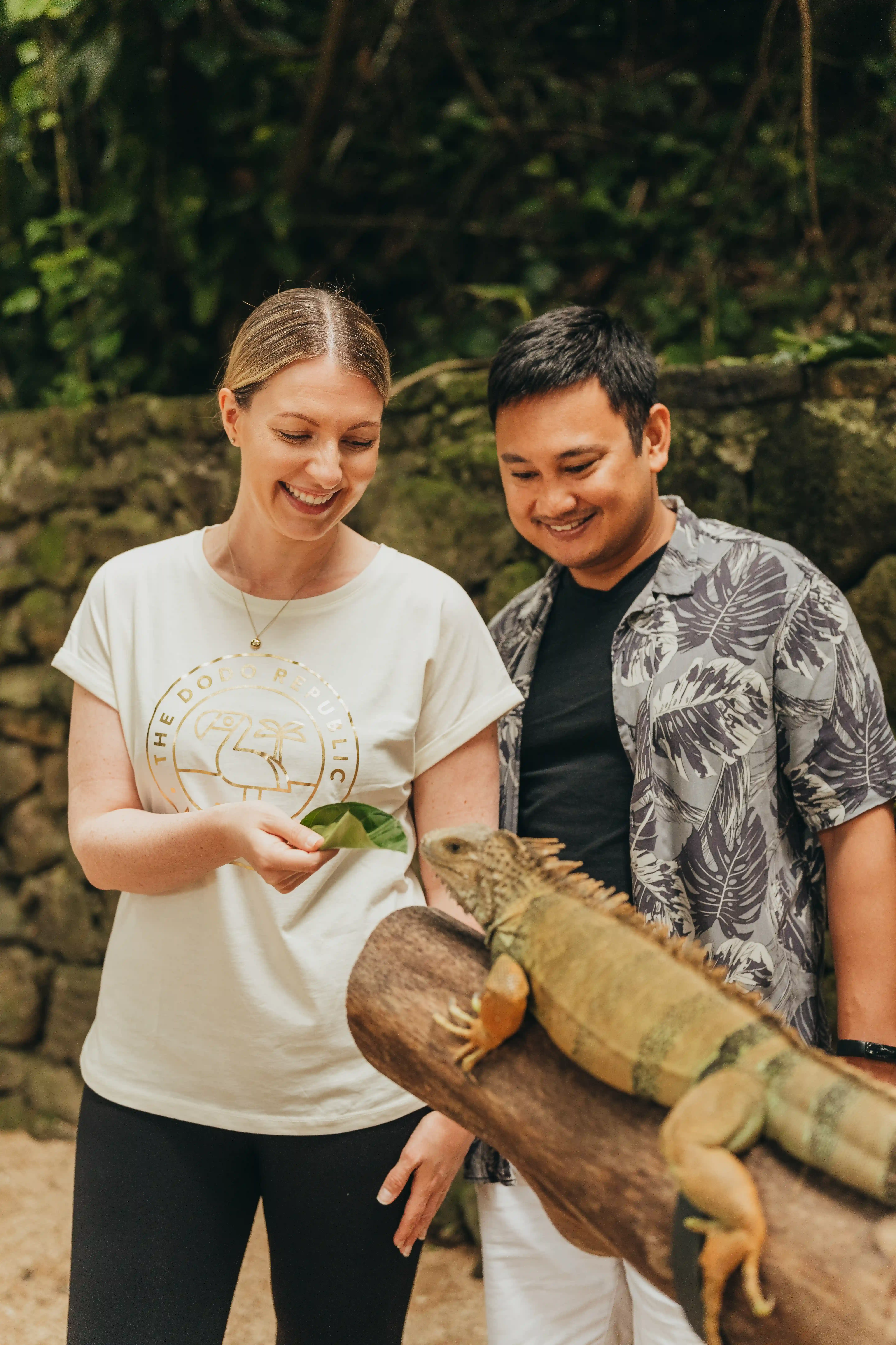 Meet Iguana Octar image