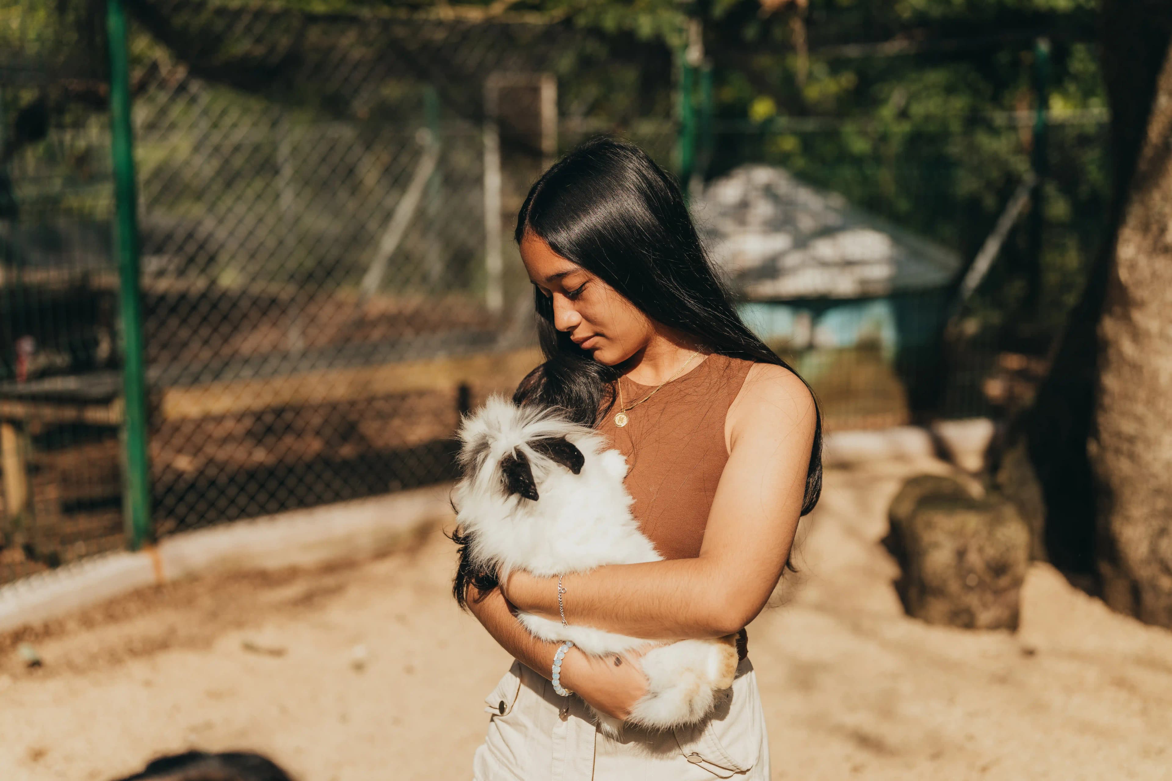 Hugging pet