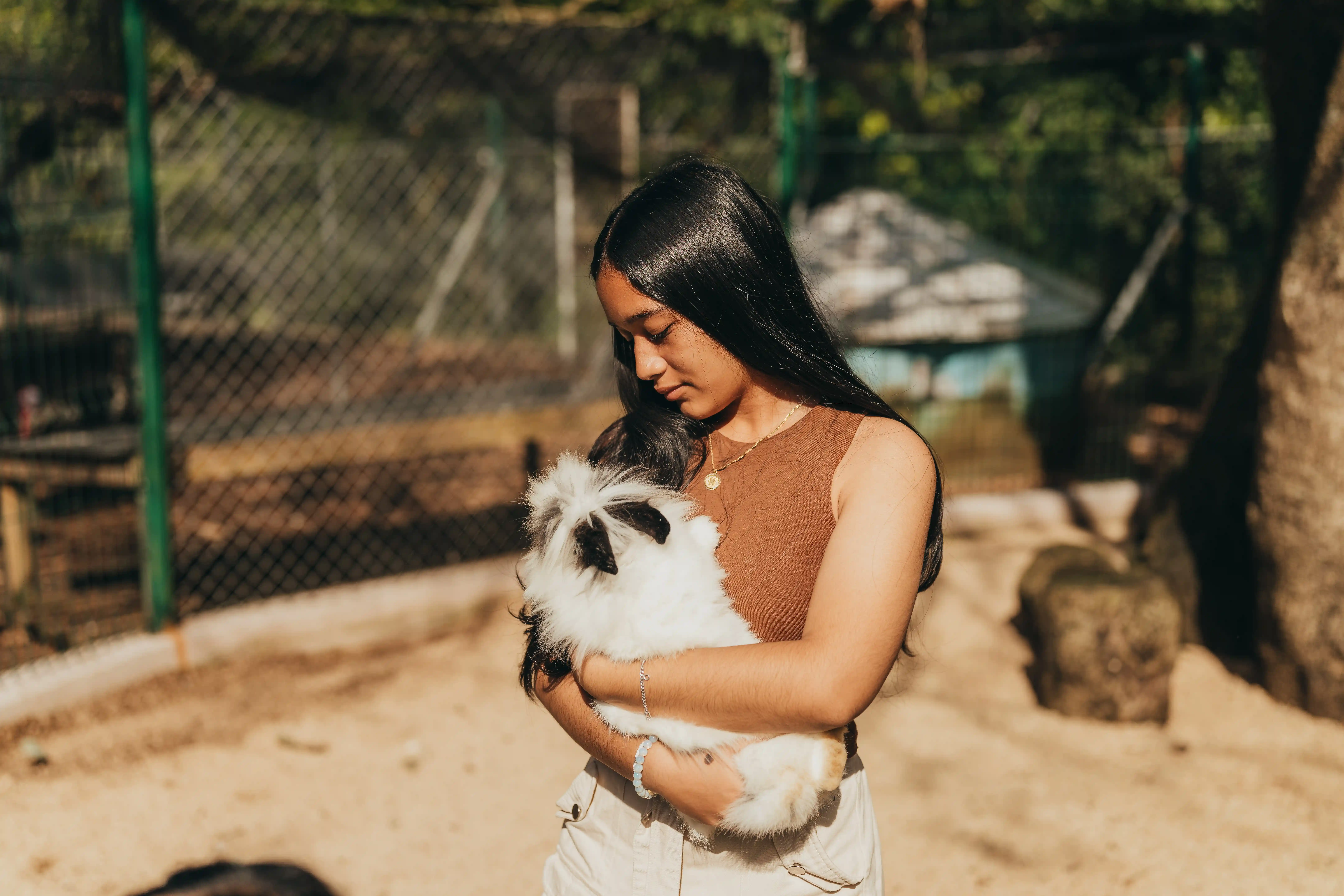 Petting Farm