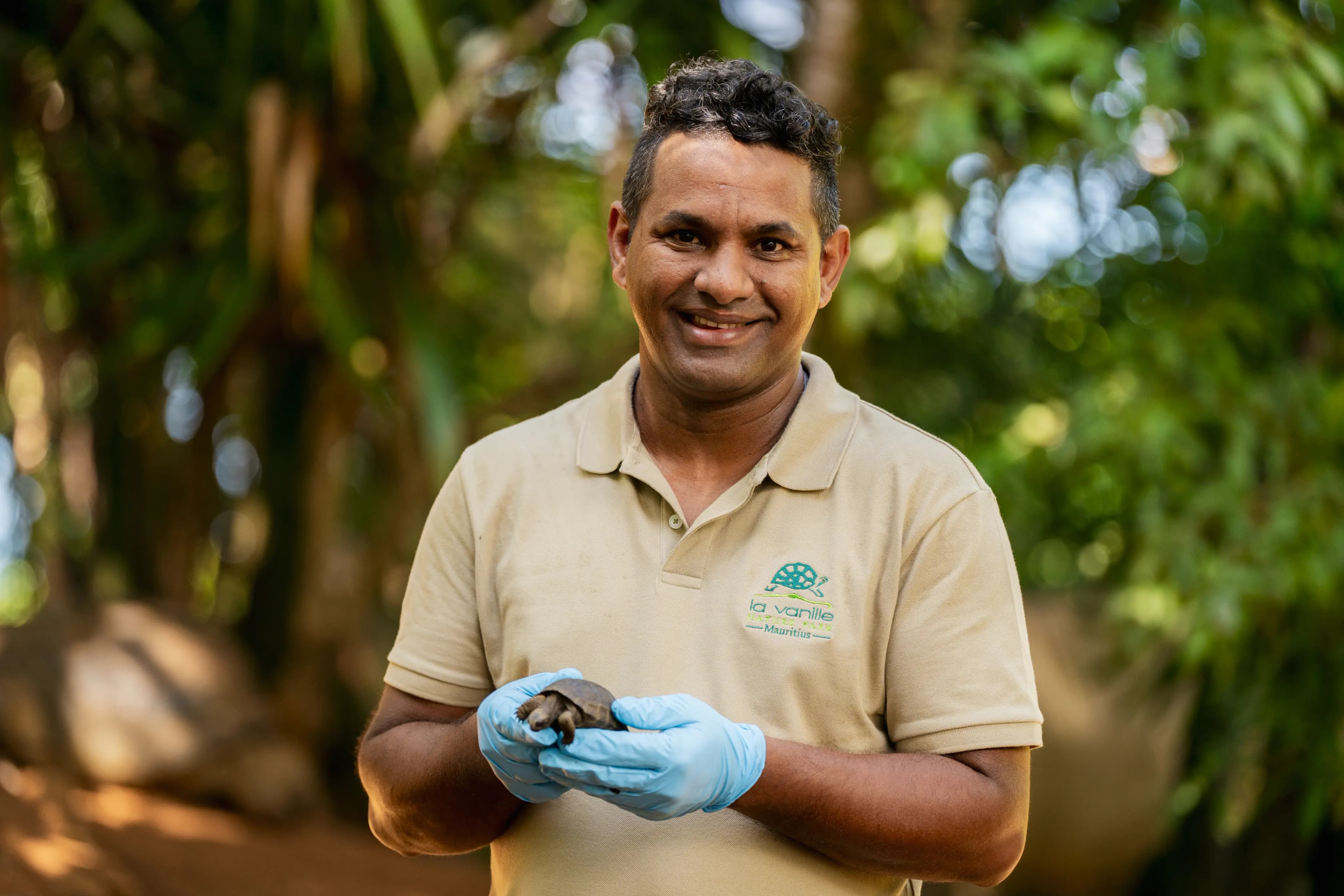 The Turtle Nursery