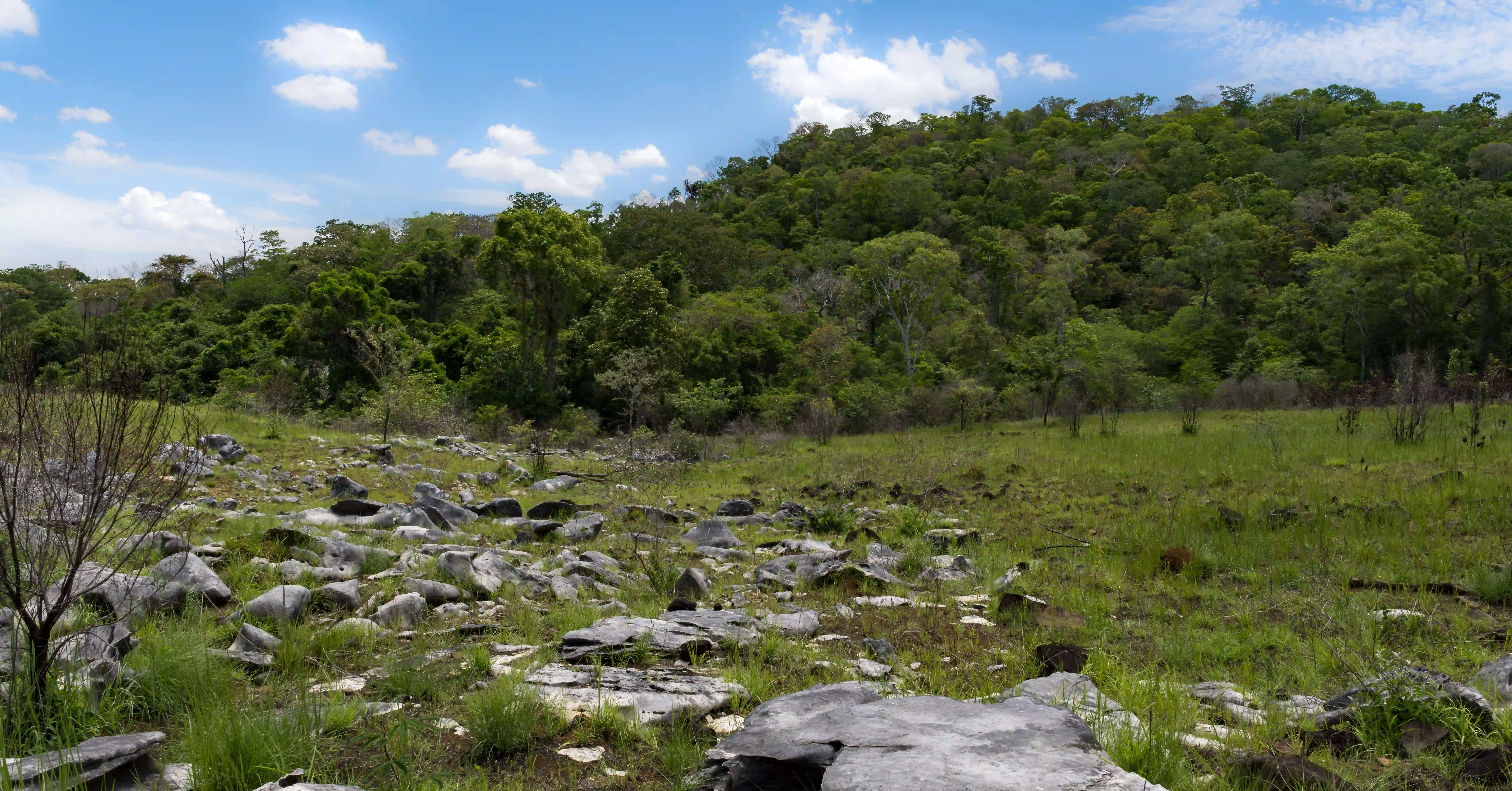 Biodiversity Conservation Madagascar