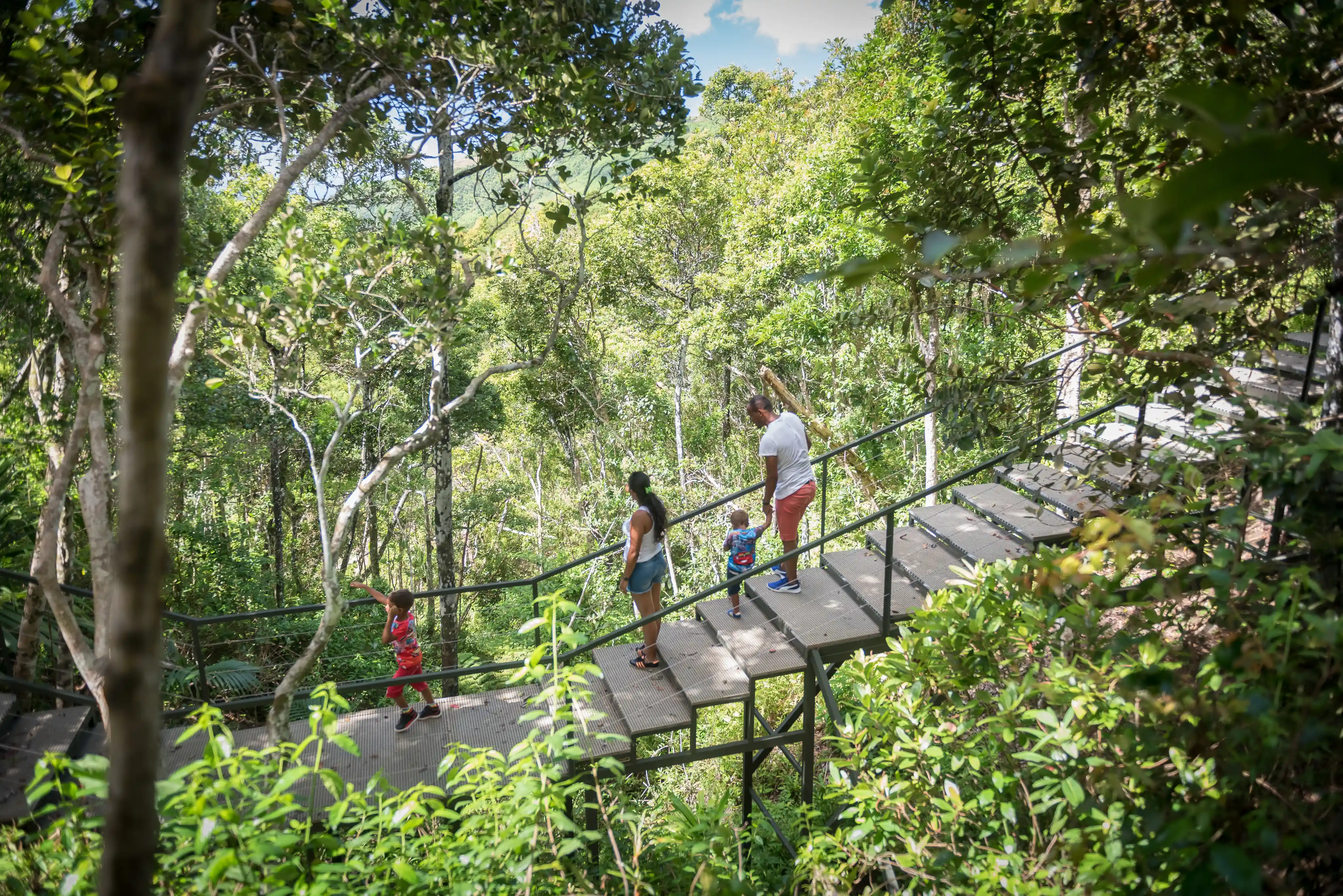 Ebony Forest Reserve