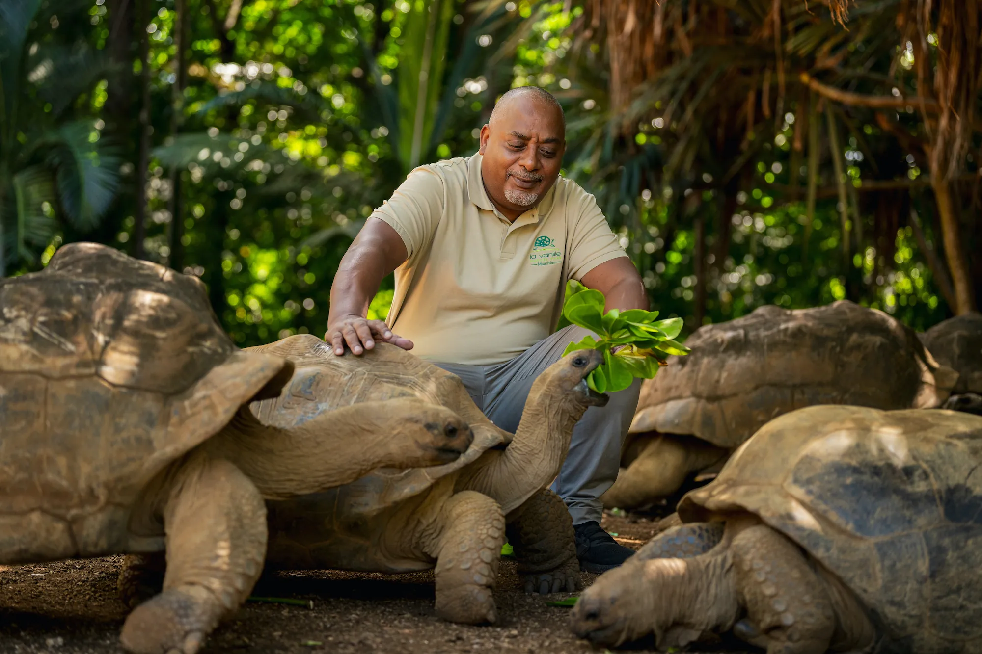 Animaux & Conservation