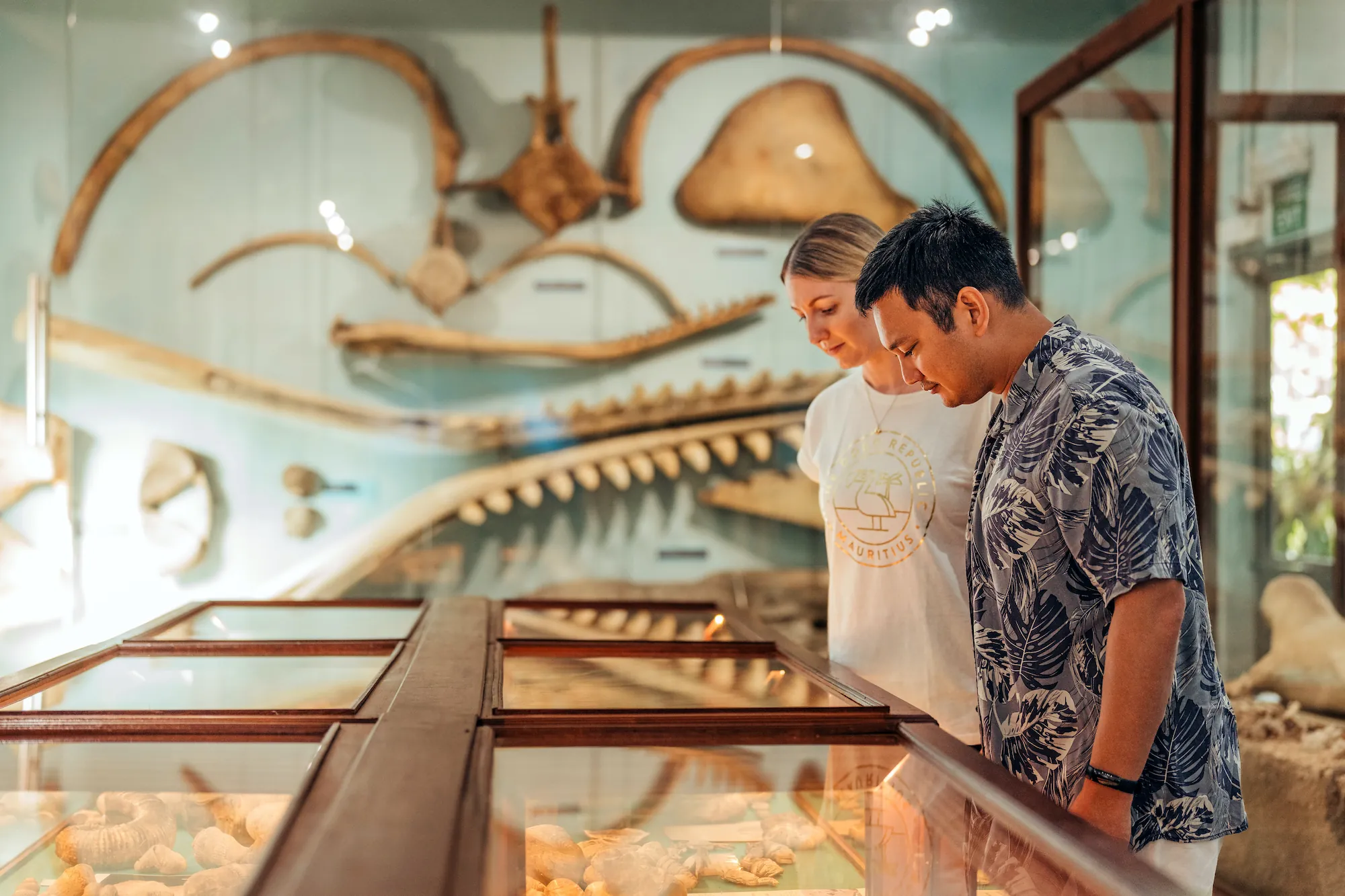 Fossil Museum
