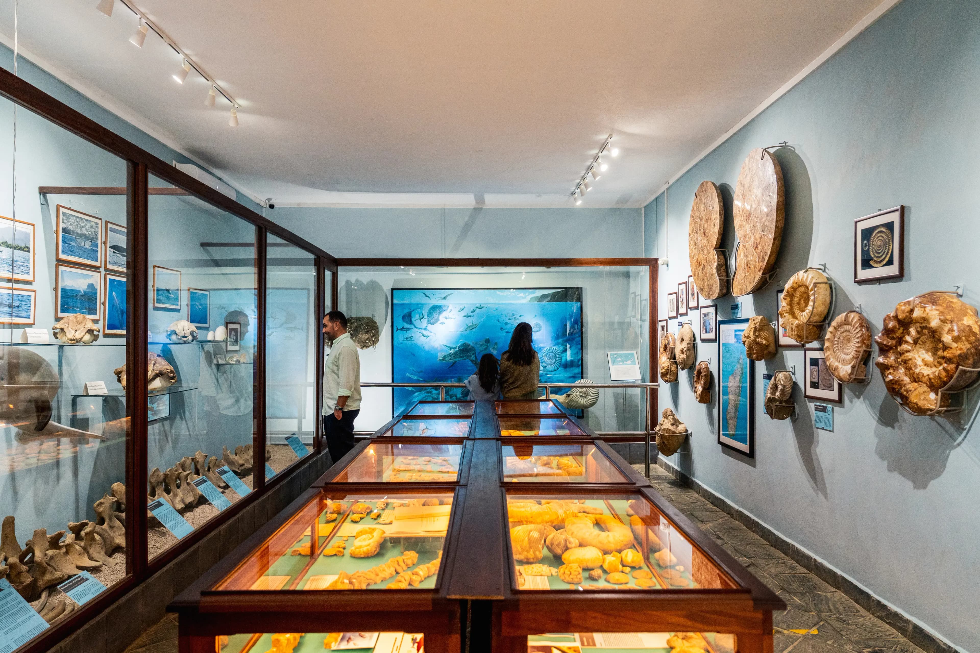 Fossil Museum