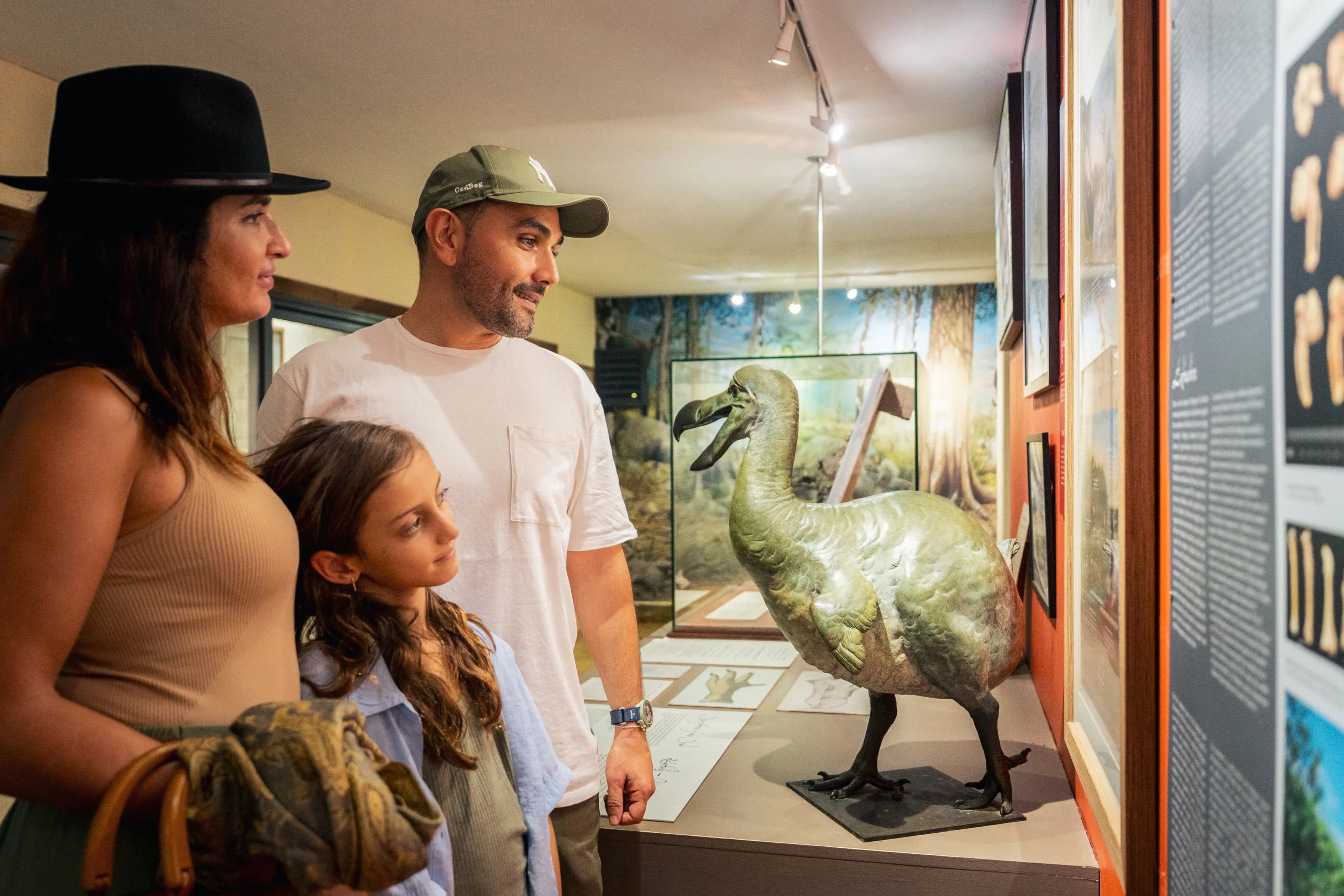 Lost Land of the Dodo